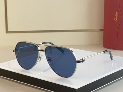 Cartier Sunglasses 749